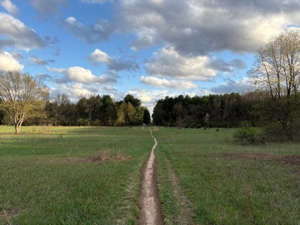 6 Ray Healing, LLC