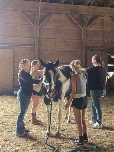 Healing Hearts With Horses LLC